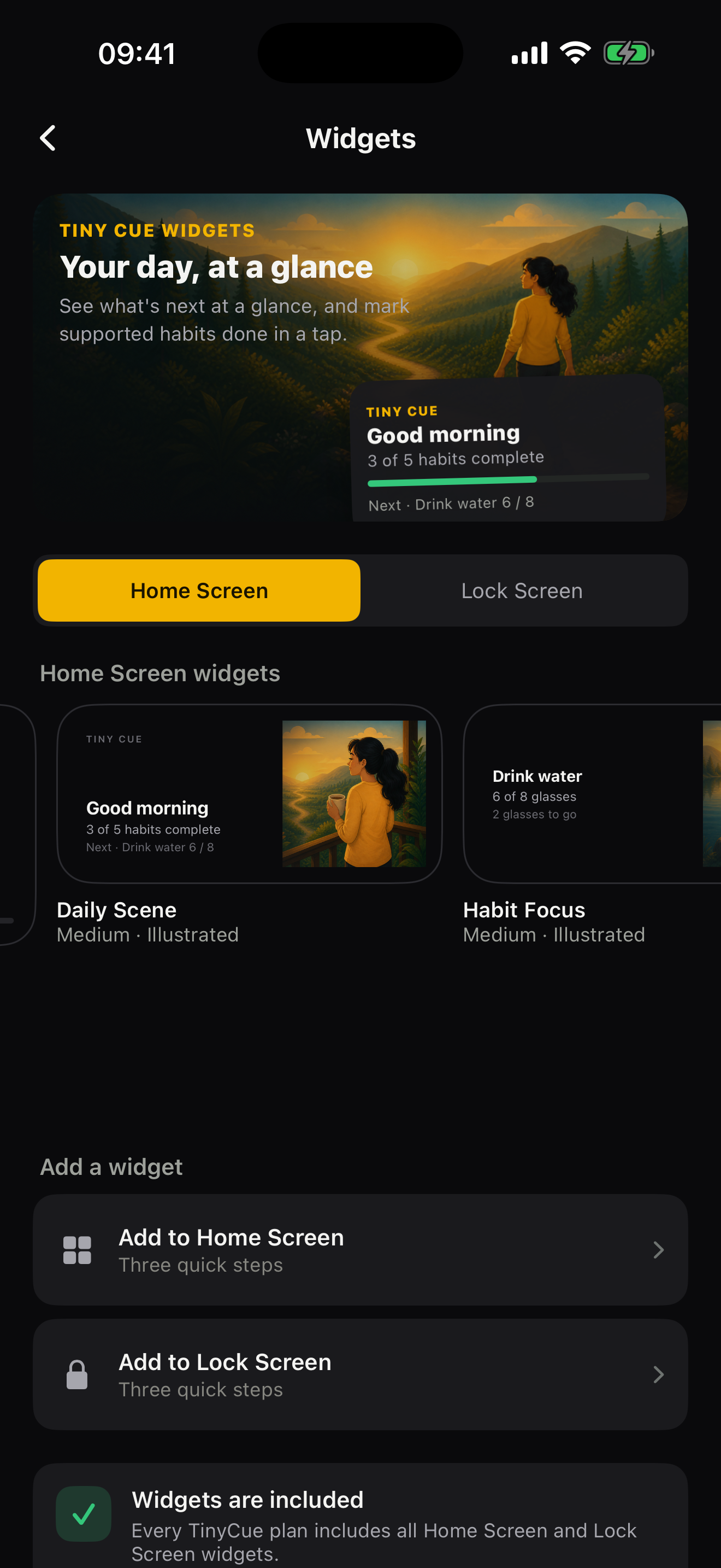 TinyCue's Widgets screen, showing home-screen and lock-screen widget options for daily progress.